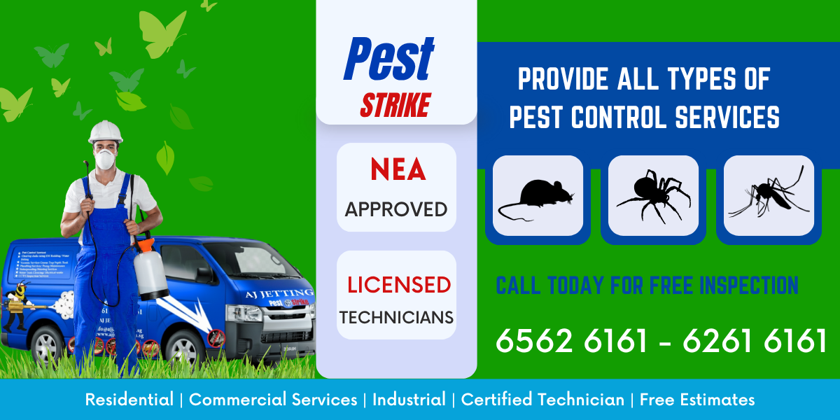 Professional Pest Control Services